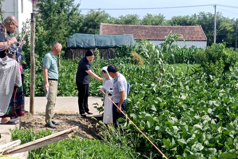 法官頂著烈日在田間測量流轉土地.jpg