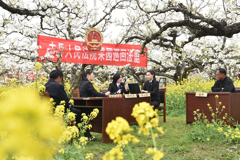 ④果品損壞糾紛案調解現場，法官對當事人釋法析理。.jpg